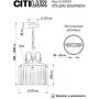 CL335133