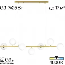 CL205270N