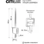 CL203410