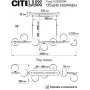 CL205270N