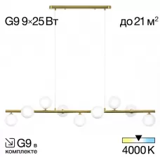CL205290N