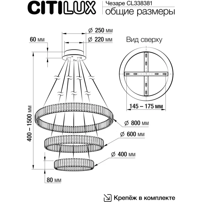 CL338381