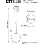 CL205110N