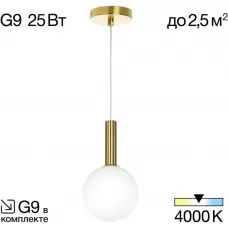 CL205110N