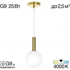 CL205110N