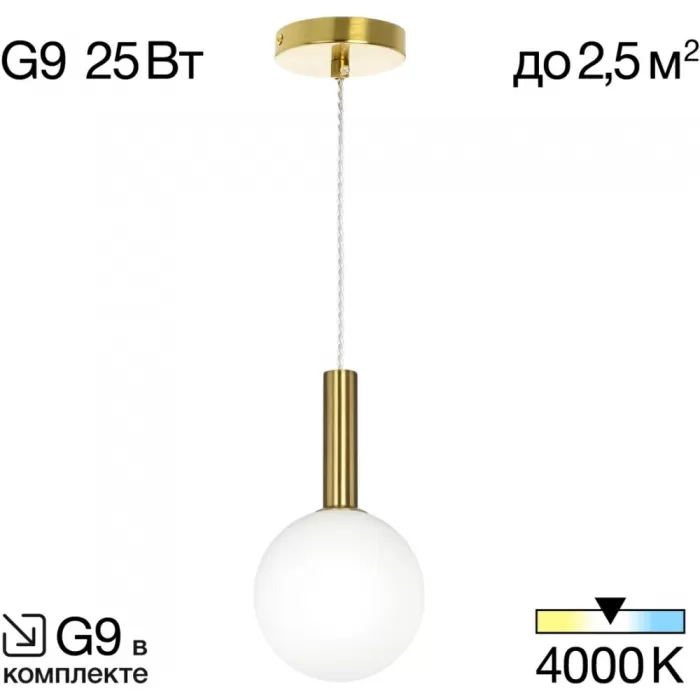 CL205110N