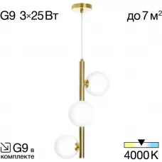 CL205130N