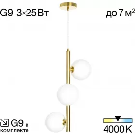 CL205130N