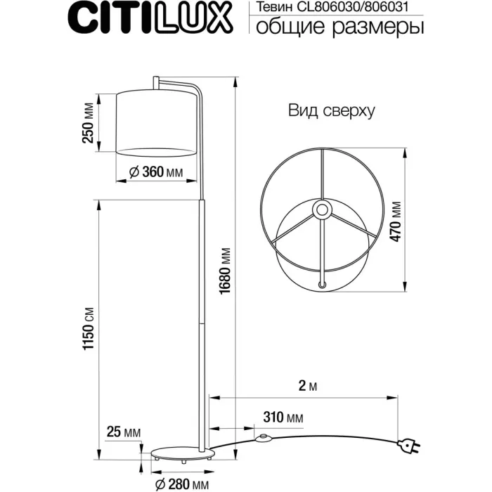 CL806031