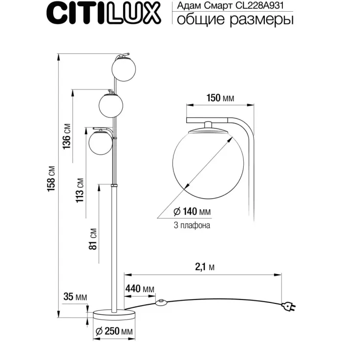 CL228A931