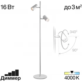 CL809010N