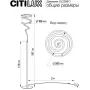 CL229911
