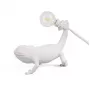 Chameleon Still USB