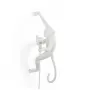 Monkey Lamp Outdoor Hanging Right