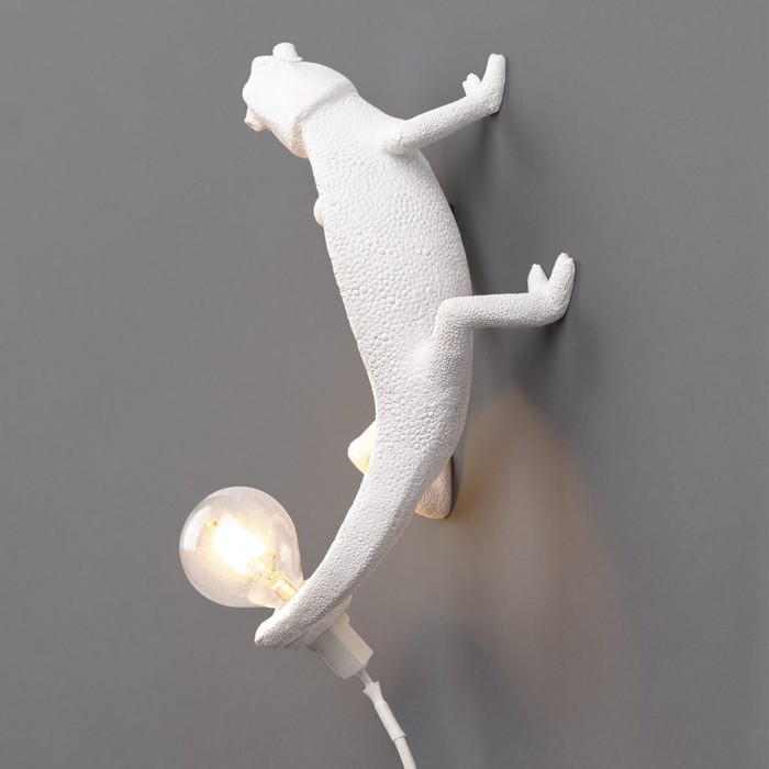 Chameleon Going Up USB