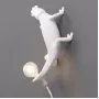 Chameleon Going Up USB