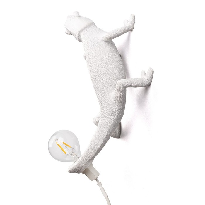 Chameleon Going Up USB