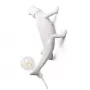 Chameleon Going Up USB