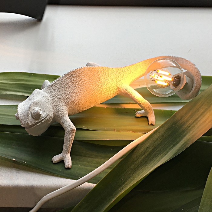 Chameleon Going Down USB
