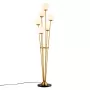 Tortora brass