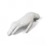 Memorabilia Mvsevm Female Hand
