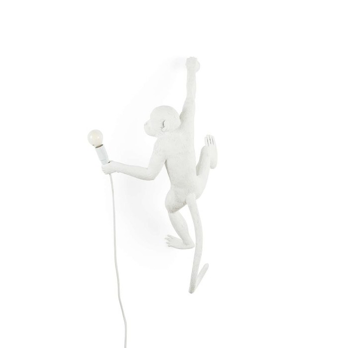 Monkey Lamp Outdoor Hanging Right