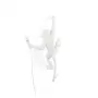 Monkey Lamp Outdoor Hanging Right