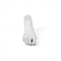 Memorabilia Mvsevm Male Foot