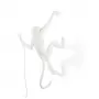 Monkey Lamp Outdoor Hanging Right
