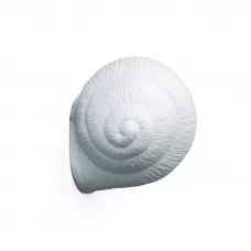 Snail Sleepy