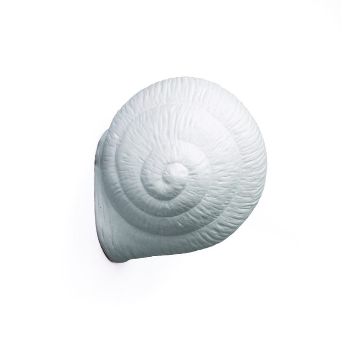 Snail Sleepy