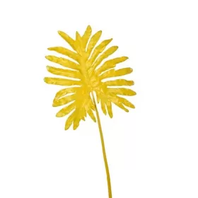 Selloum leaf yellow