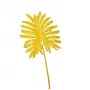 Selloum leaf yellow