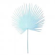Fan palm leaf light blue