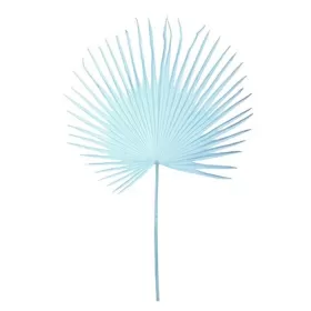 Fan palm leaf light blue