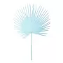 Fan palm leaf light blue