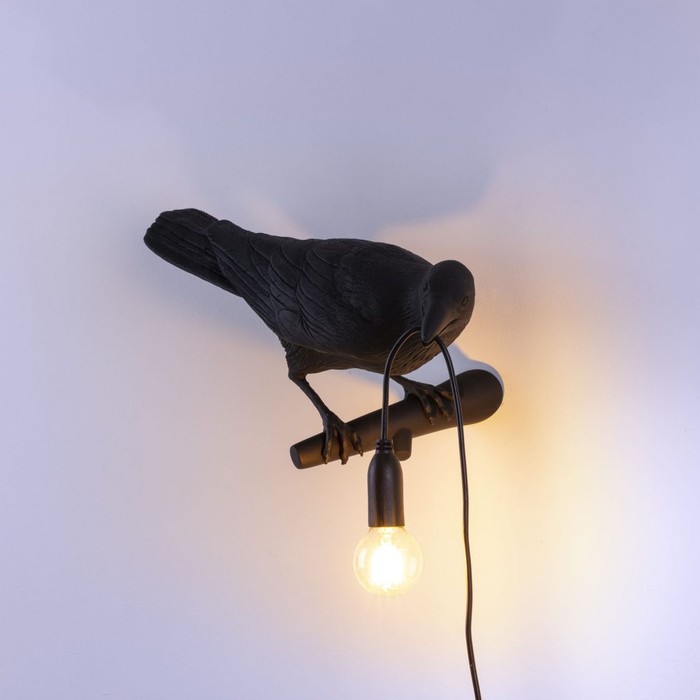 Bird Looking Right Black