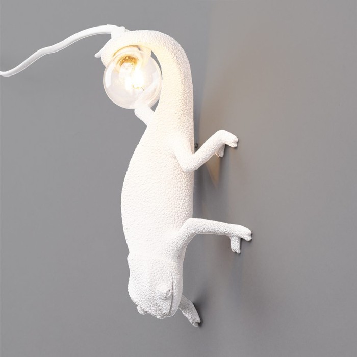 Chameleon Going Down USB
