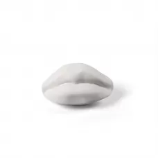 Memorabilia Mvsevm Mouth