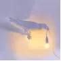 Bird Looking Right White