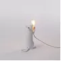 Mouse Lamp Standing USB