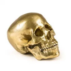 Wunderkrammer Human Skull