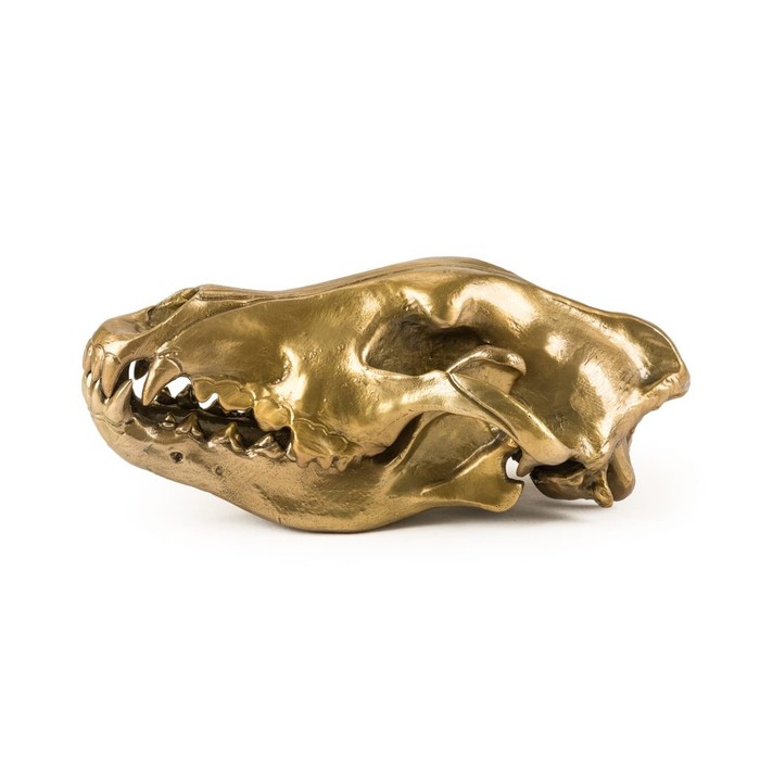 Wunderkrammer Wolf Skull