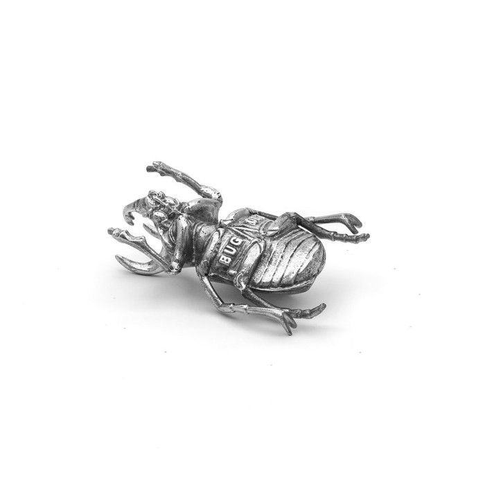 Wunderkammer Bug