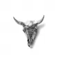 Wunderkammer Bison Skull