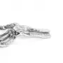 Wunderkammer Skeleton Hand