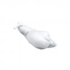 Snail Awake