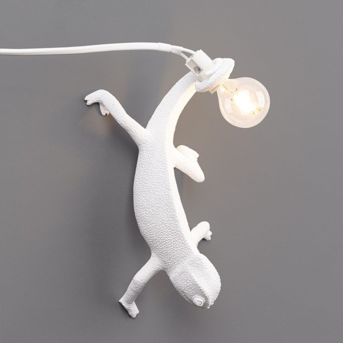 Chameleon Going Down USB