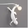 Chameleon Going Down USB