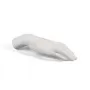 Memorabilia Mvsevm Female Hand